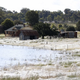 Illustration for article titled Massive spiderwebs engulf Australian town as arachnids escape floods